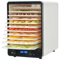 vidaXL Dehydrator do żywności z 10 tacami, biały, 550 W