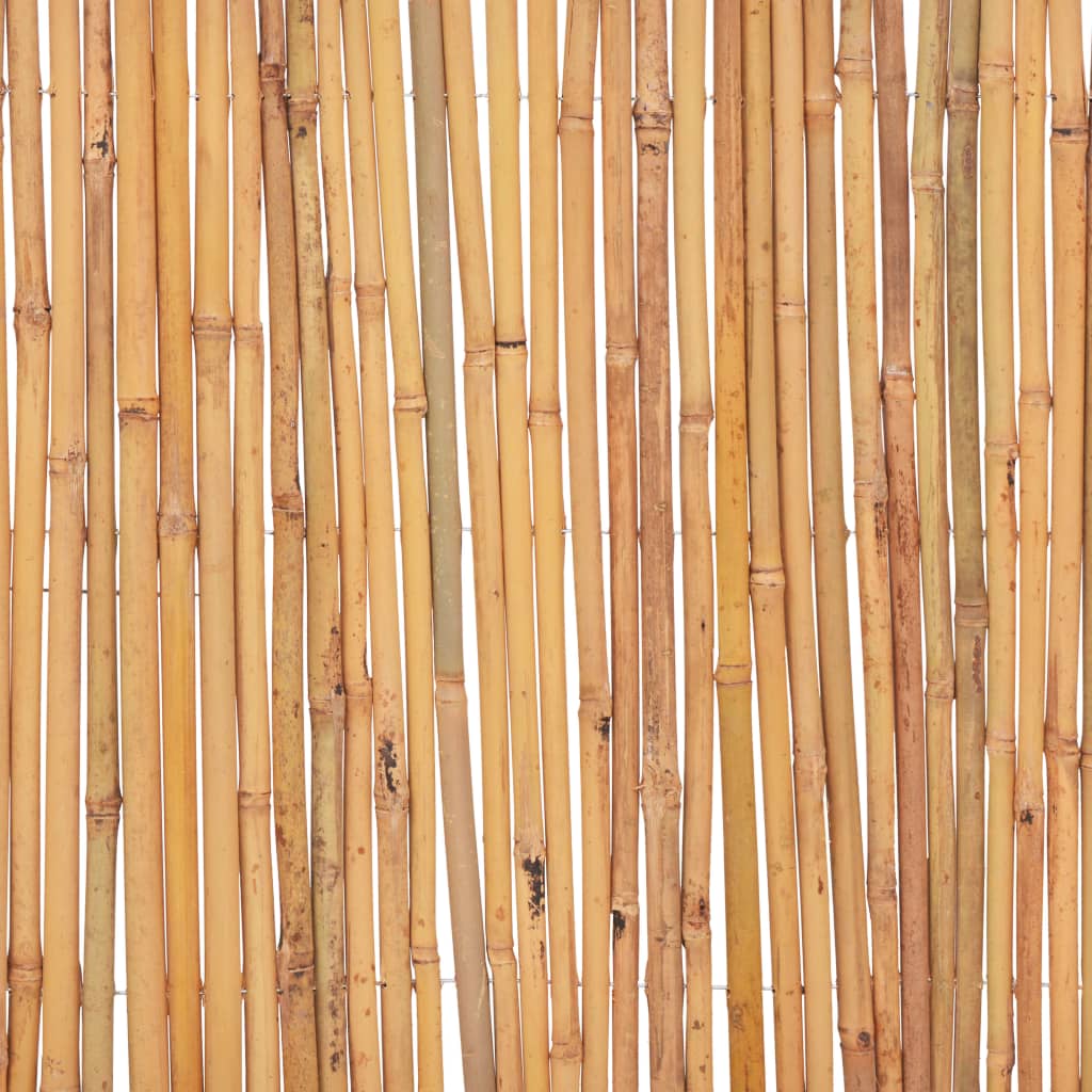 vidaXL Ogrodzenie z bambusa, 500 x 50 cm