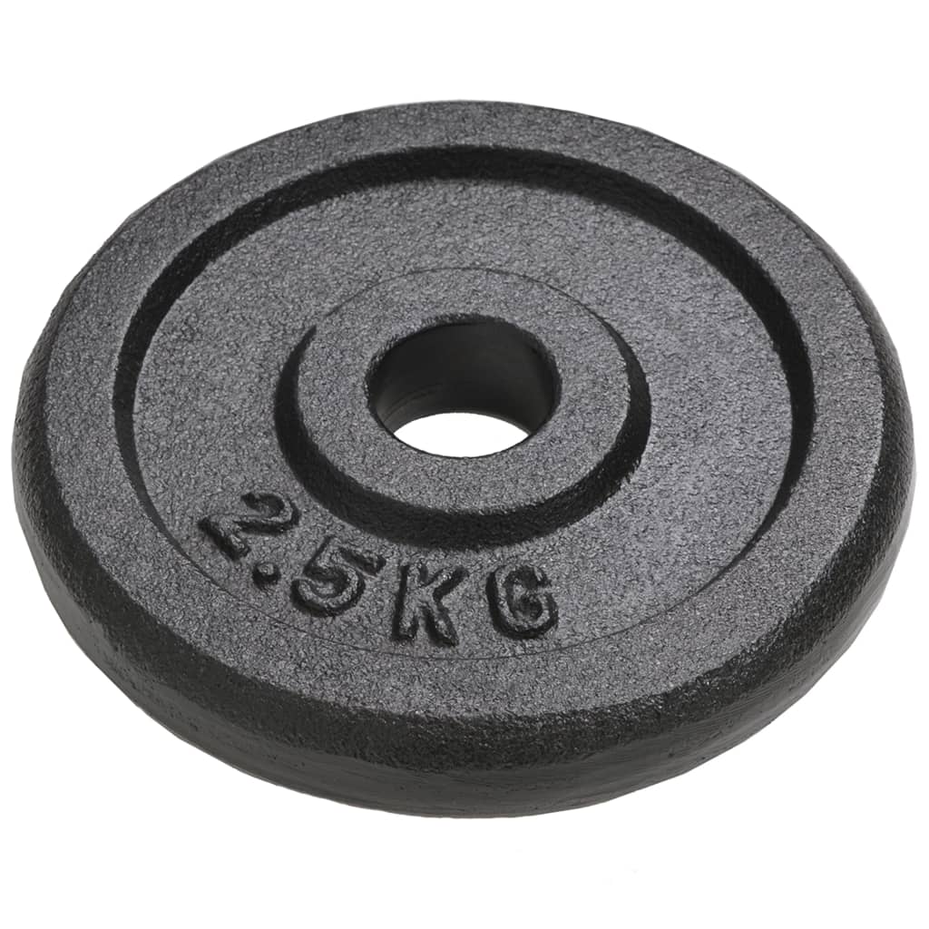 vidaXL Obciążniki żeliwne, 8 sztuk, 8 x 2,5 kg
