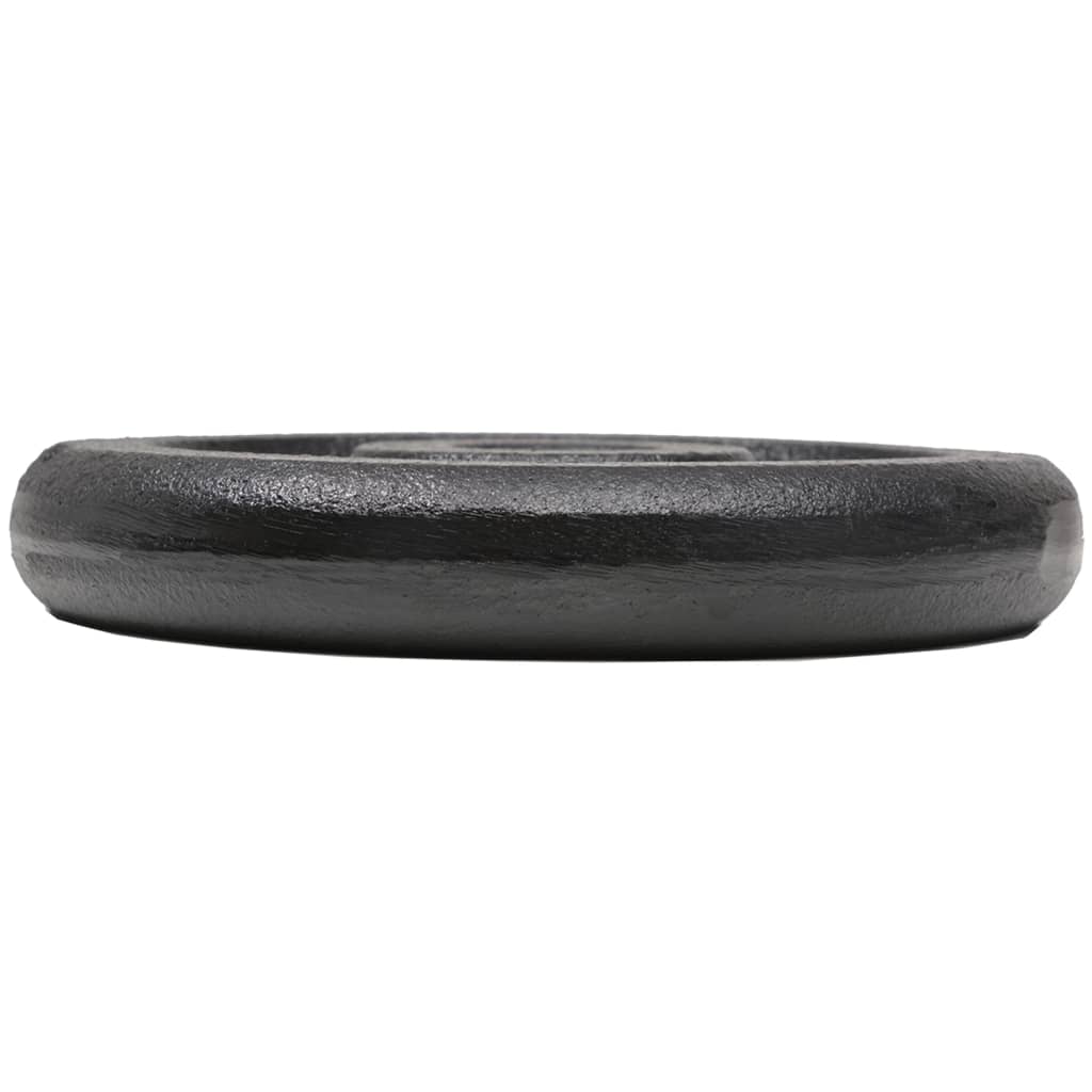 vidaXL Obciążniki żeliwne, 8 sztuk, 8 x 2,5 kg