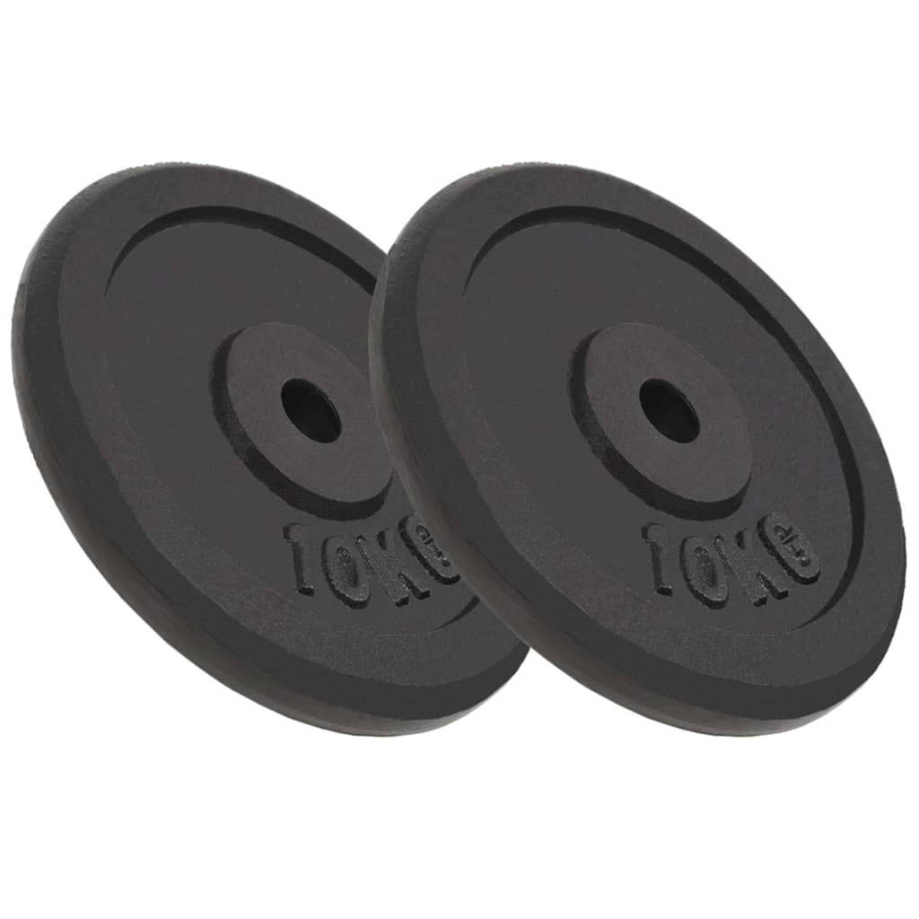 vidaXL Obciążniki żeliwne, 2 sztuki, 2 x 10 kg