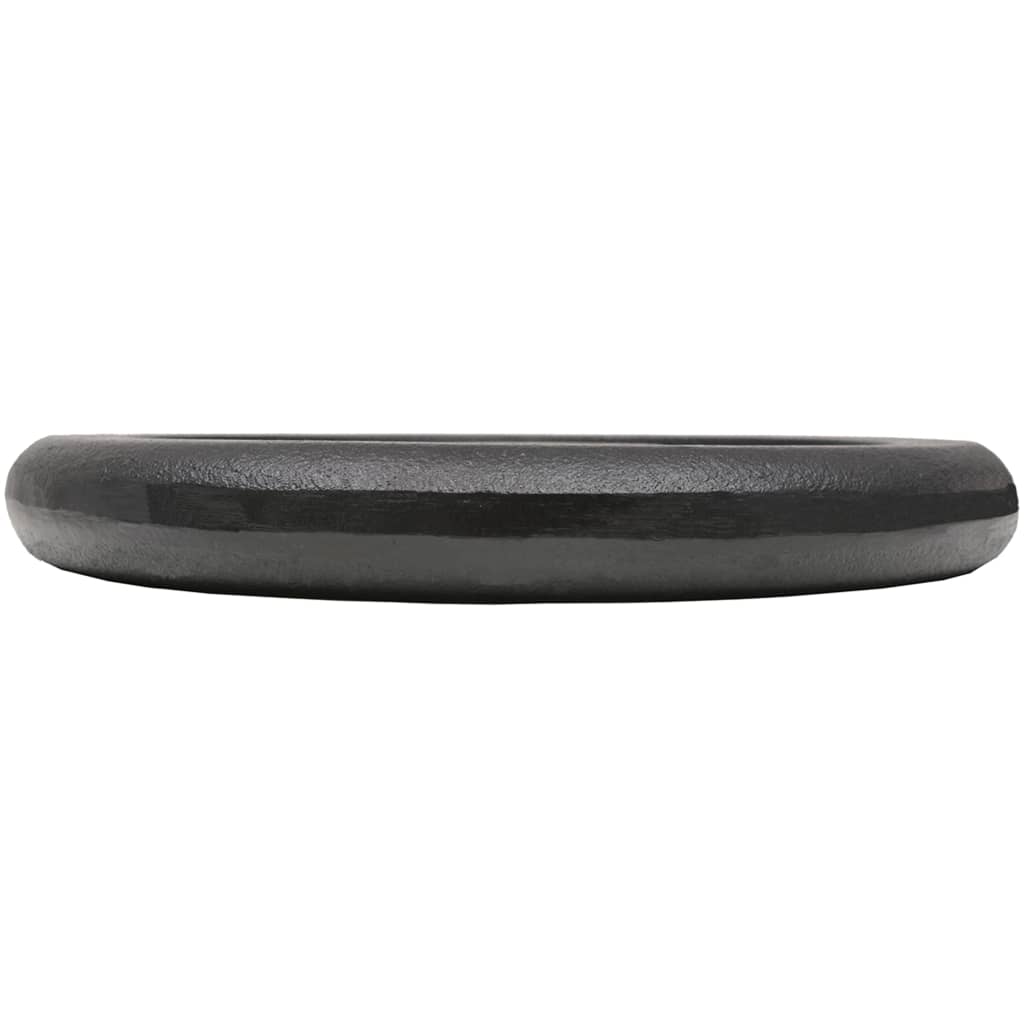 vidaXL Obciążniki żeliwne, 2 sztuki, 2 x 10 kg