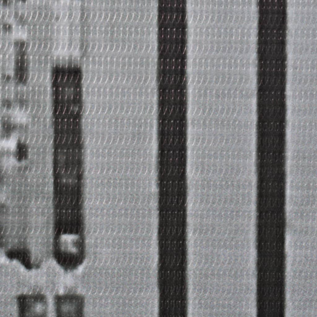 vidaXL Składany parawan, 200x170 cm, Nowy Jork za dnia, czarno-biały
