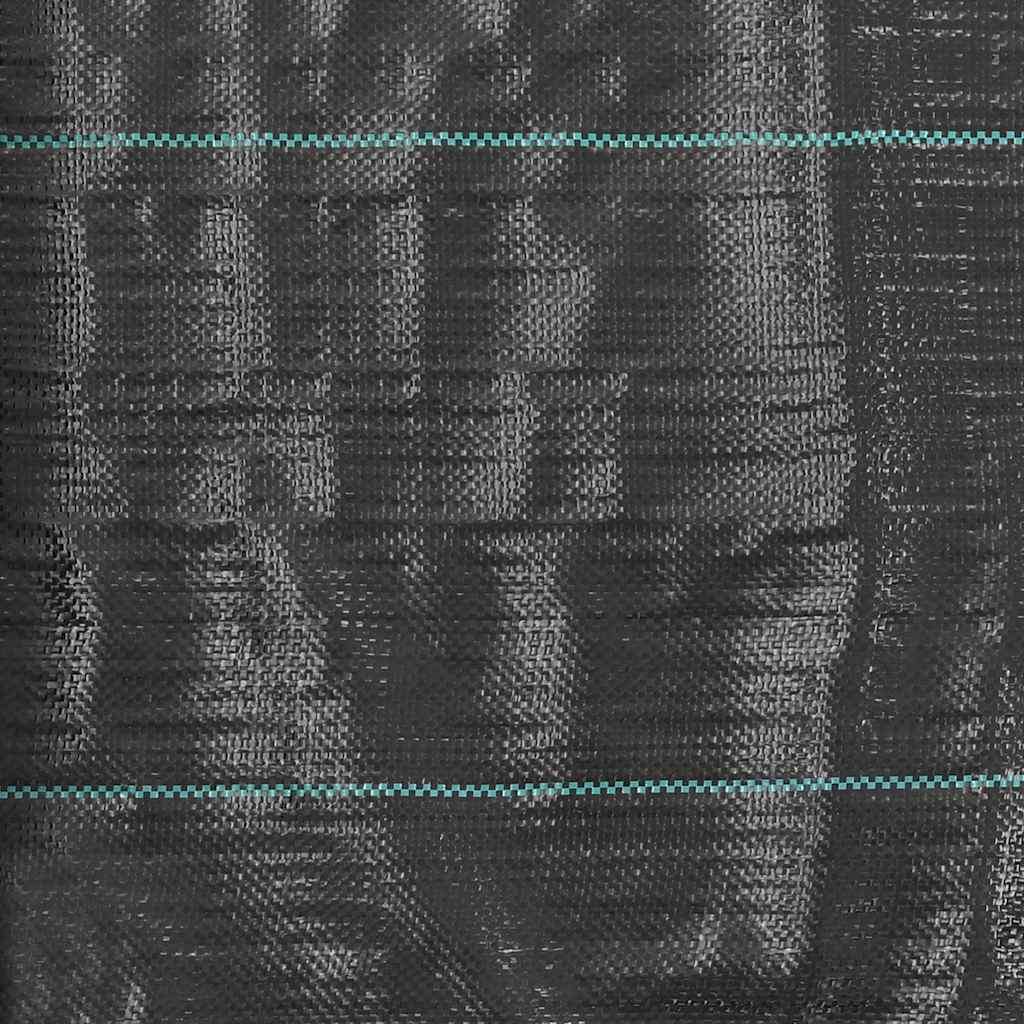 vidaXL Mata szkółkarska, agrotkanina PP, 2 x 150 m, czarna