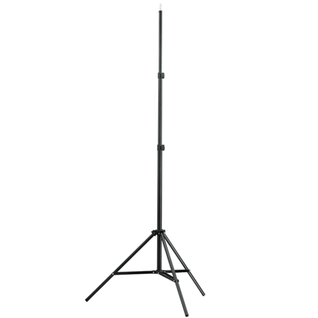 vidaXL Teleskopowy statyw do tła, 155-300 cm