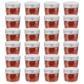 vidaXL Szklane słoiki na dżem, srebrne pokrywki, 24 szt., 110 ml