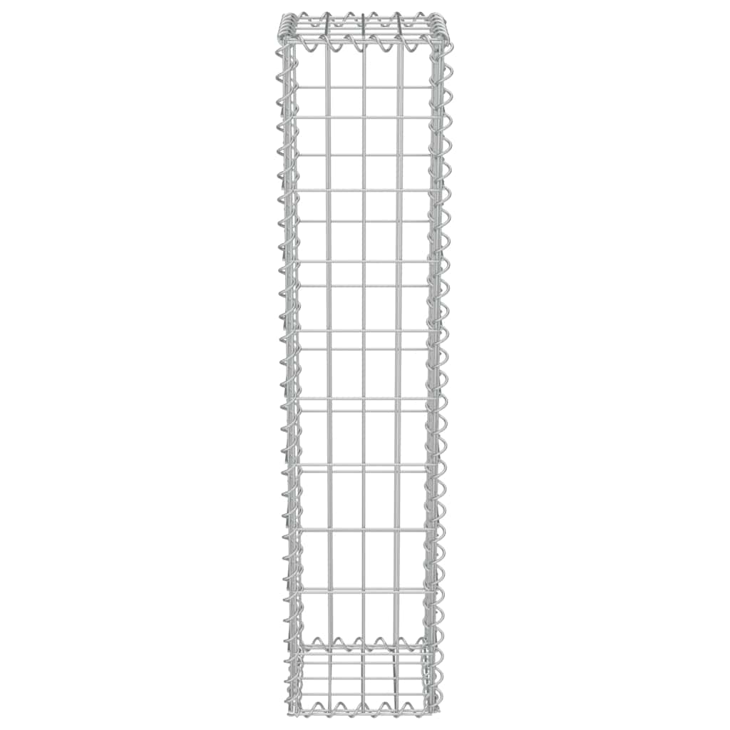 vidaXL Ściana gabionowa z pokrywami, galwanizowana stal, 20x20x100 cm