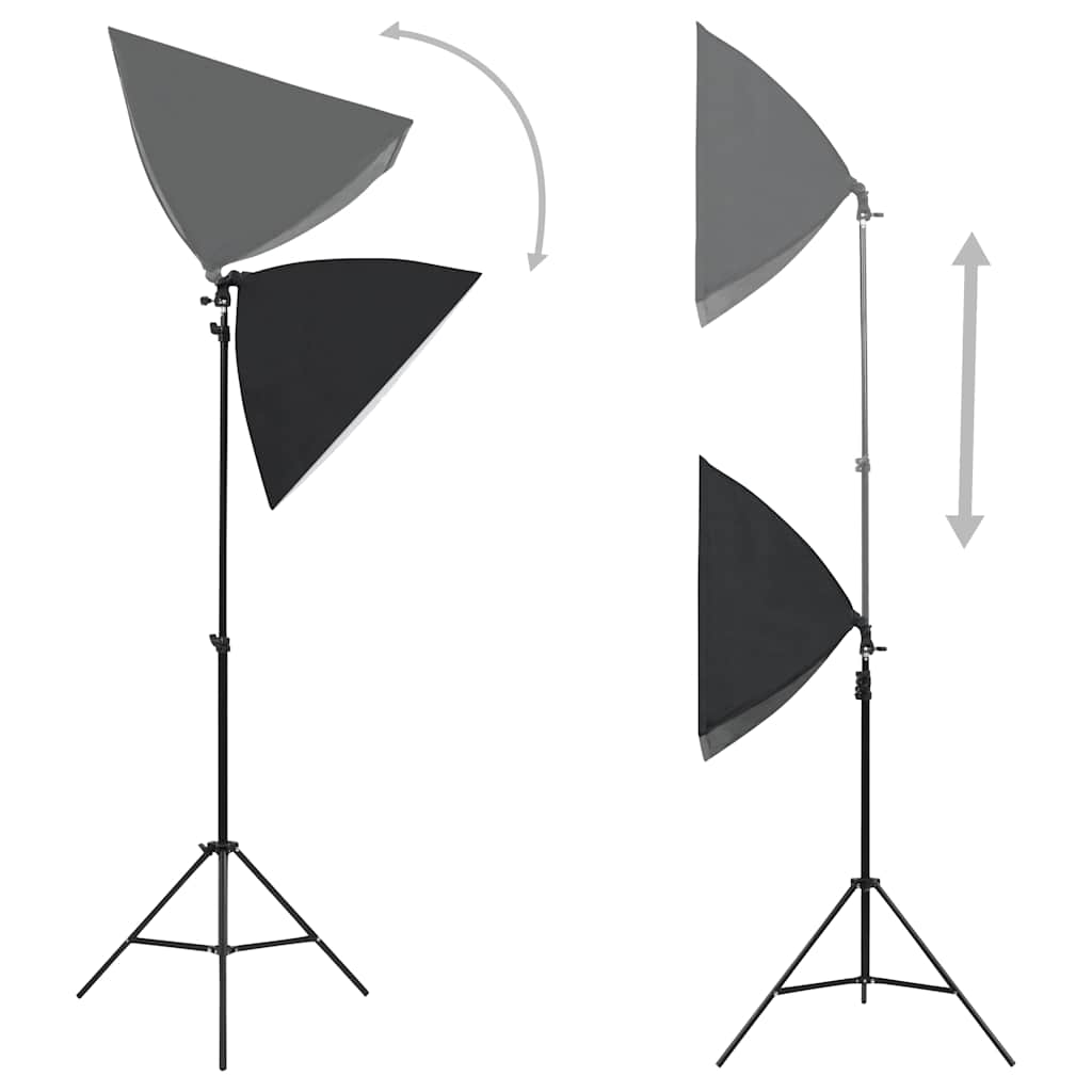 vidaXL Profesjonalne lampy studyjne, 2 szt., 40x60 cm, stalowe, czarne