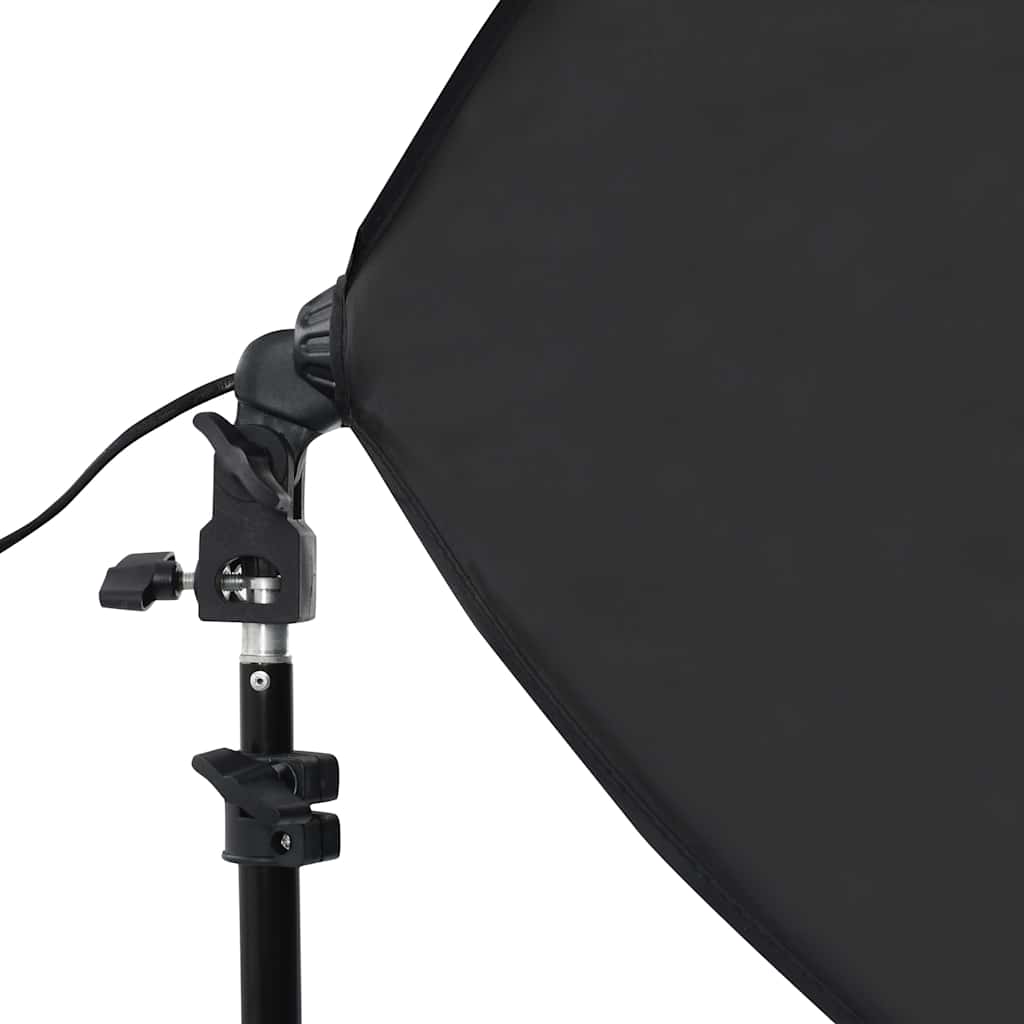 vidaXL Profesjonalne lampy studyjne, 2 szt., 40x60 cm, stalowe, czarne