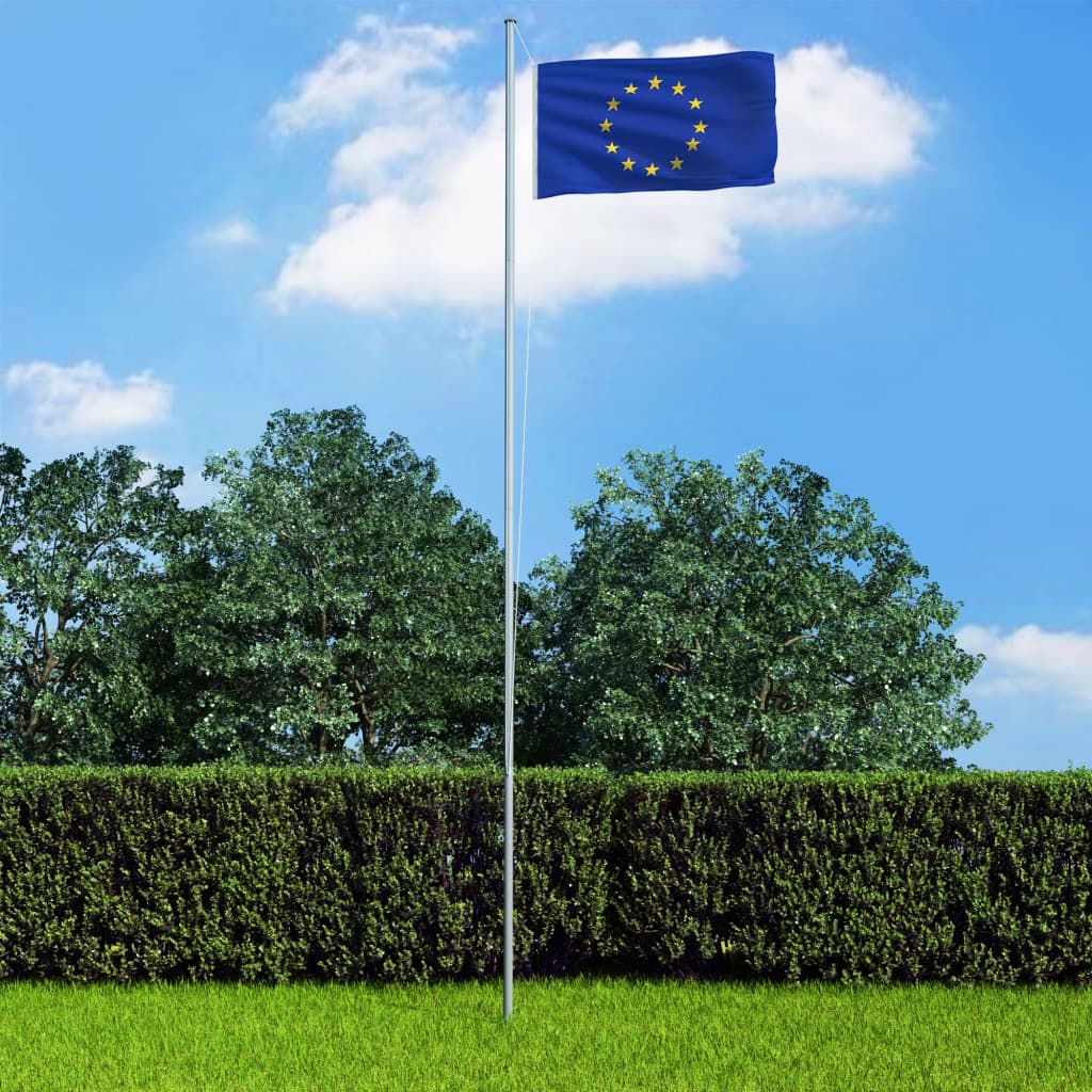 vidaXL Flaga Europy, 90 x 150 cm