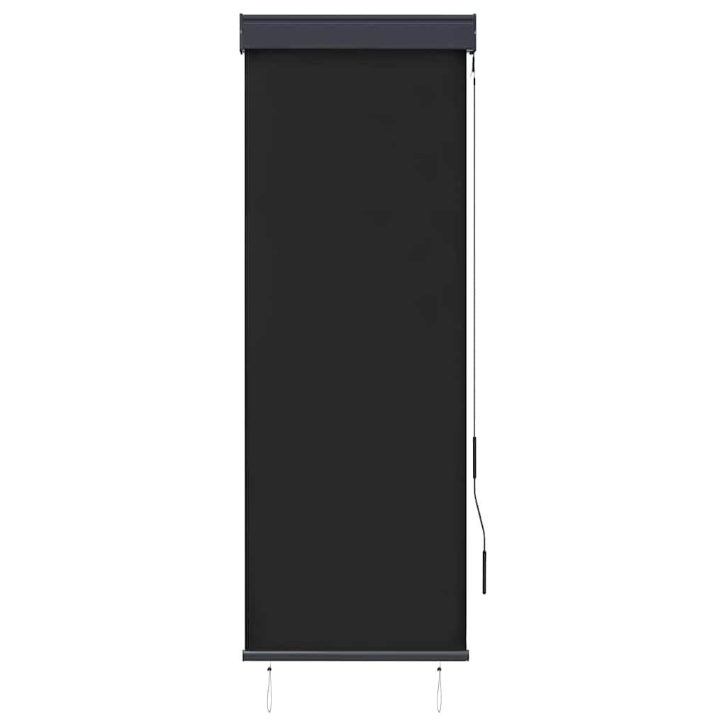 vidaXL Roleta zewnętrzna, 60x250 cm, antracytowa