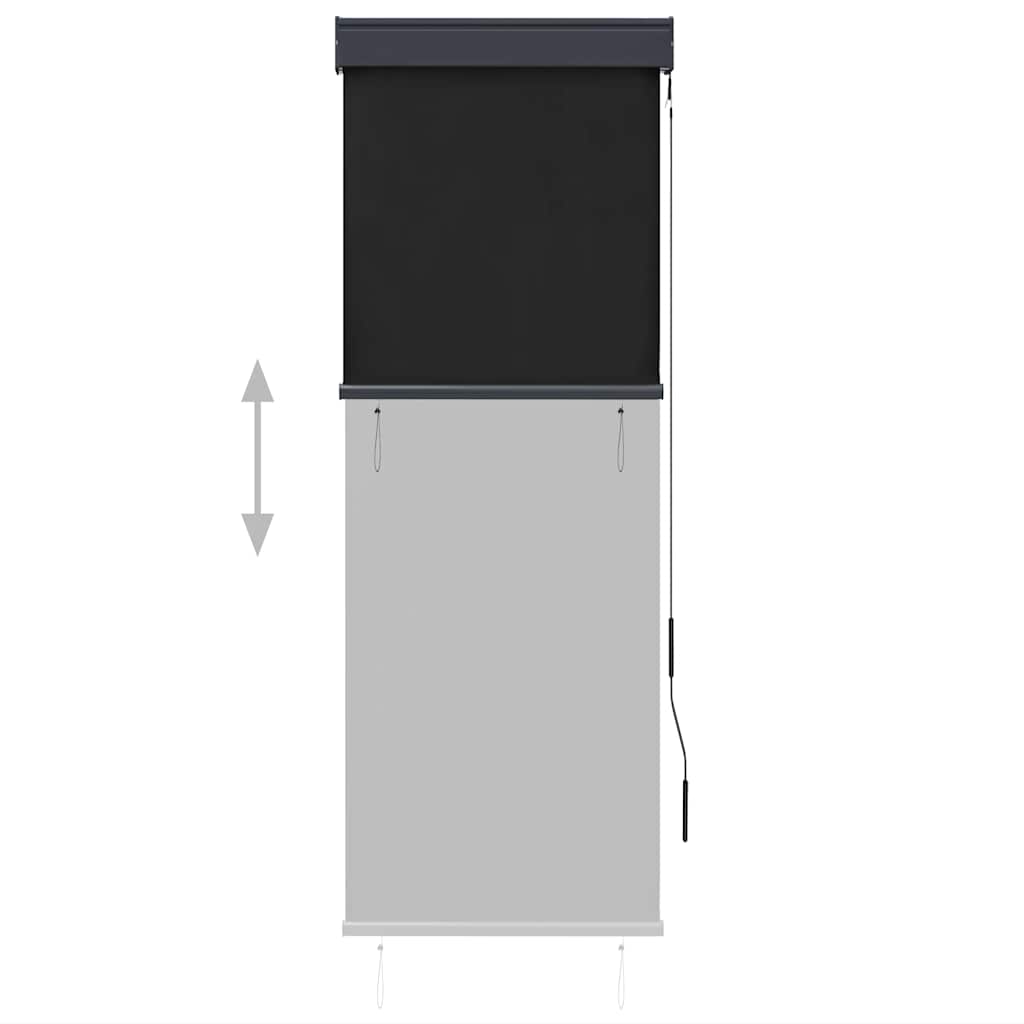 vidaXL Roleta zewnętrzna, 60x250 cm, antracytowa
