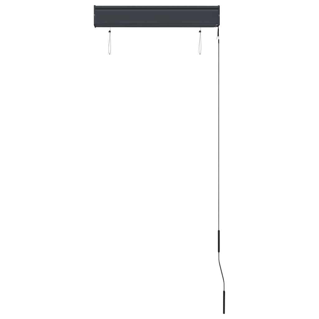 vidaXL Roleta zewnętrzna, 60x250 cm, antracytowa