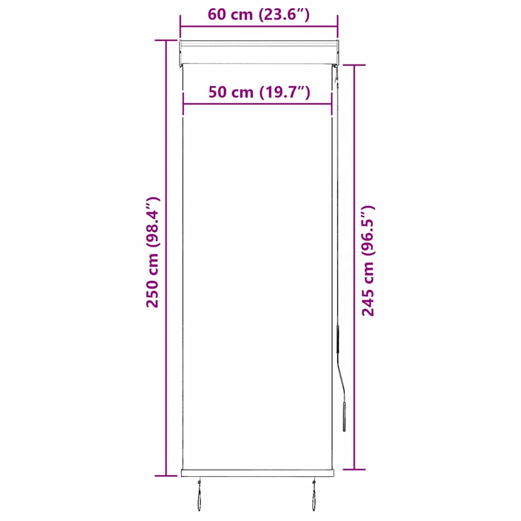 vidaXL Roleta zewnętrzna, 60x250 cm, antracytowa