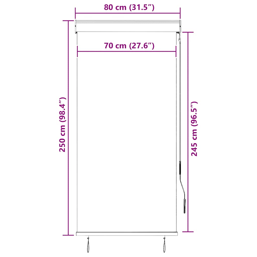 vidaXL Roleta zewnętrzna, 80x250 cm, antracytowa
