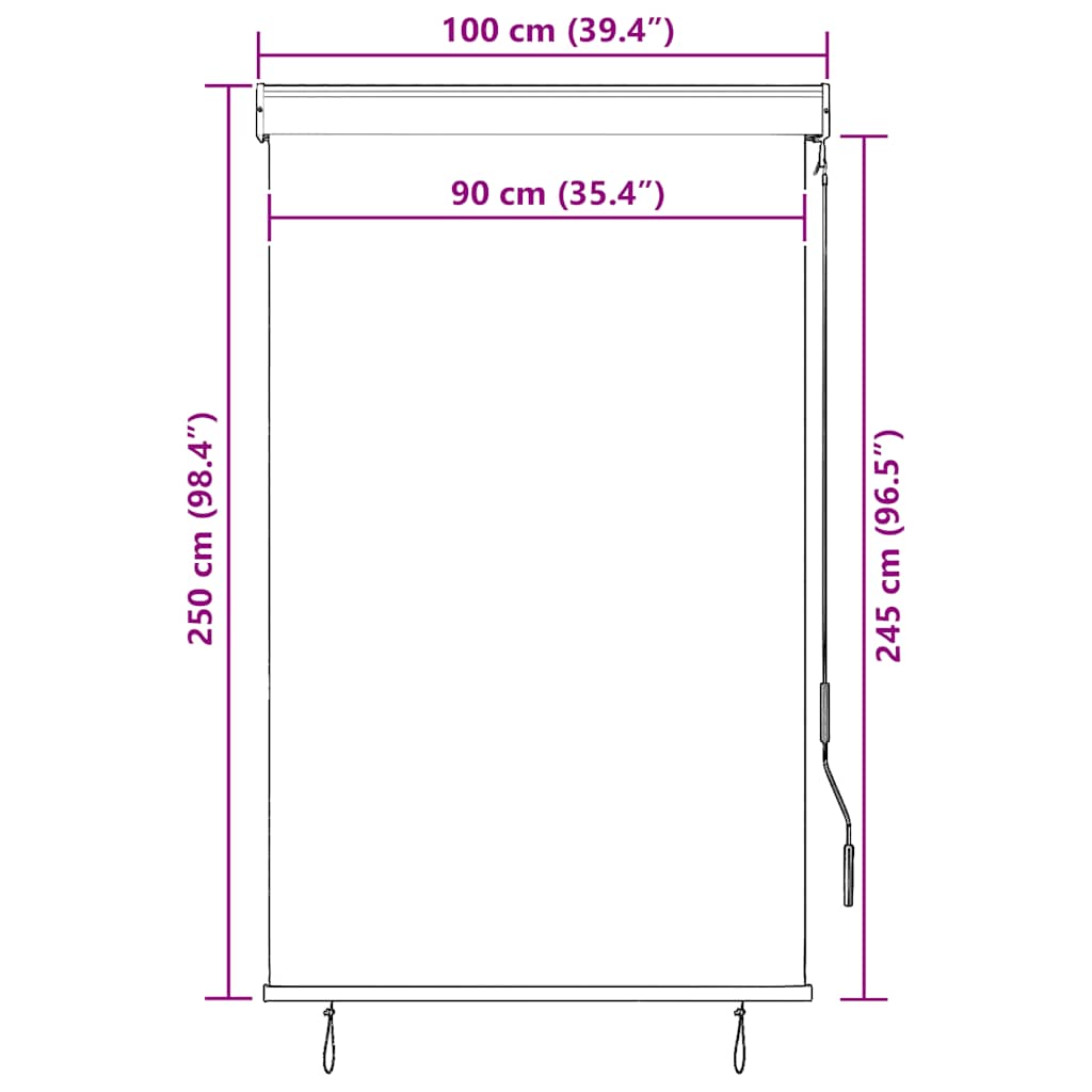 vidaXL Roleta zewnętrzna, 100x250 cm, antracytowa
