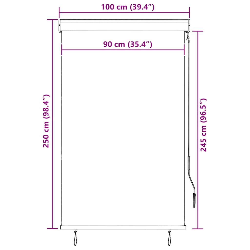 vidaXL Roleta zewnętrzna, 100x250 cm, kremowa
