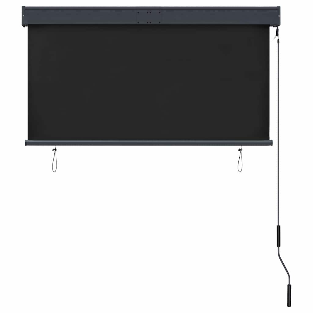 vidaXL Roleta zewnętrzna, 120x250 cm, antracytowa