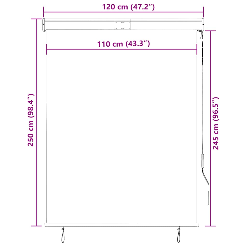 vidaXL Roleta zewnętrzna, 120x250 cm, antracytowa