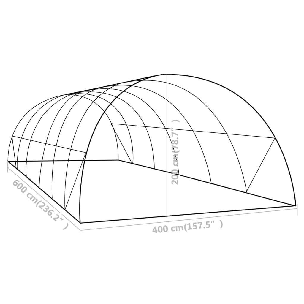 vidaXL Szklarnia ogrodowa, 24 m², 6 x 4 x 2 m