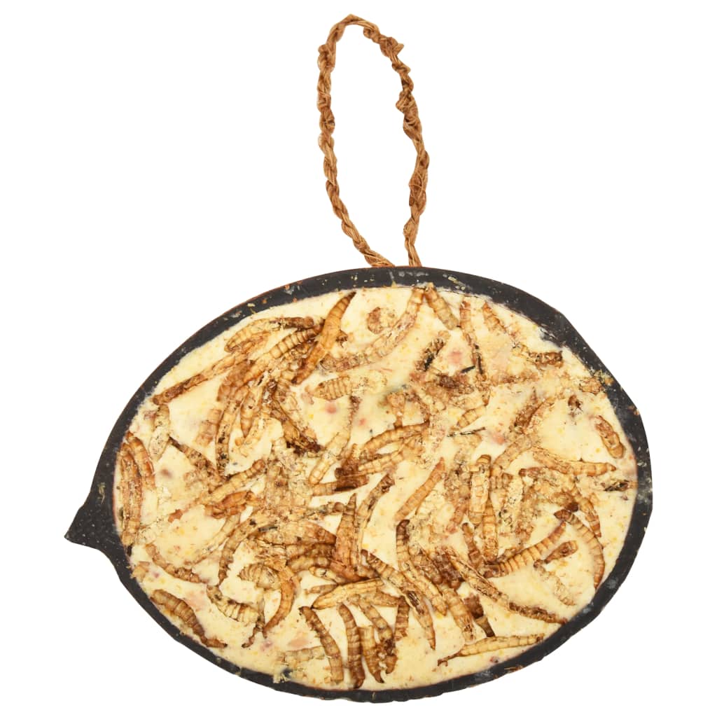 vidaXL Karma dla ptaków w połówkach kokosa, 10 szt., 290 g