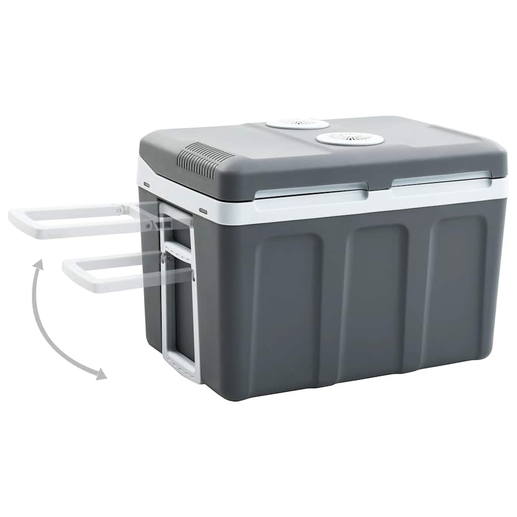 vidaXL Przenośna chłodziarka termoelektryczna, 40 L, 12 V, 230 V, A+++