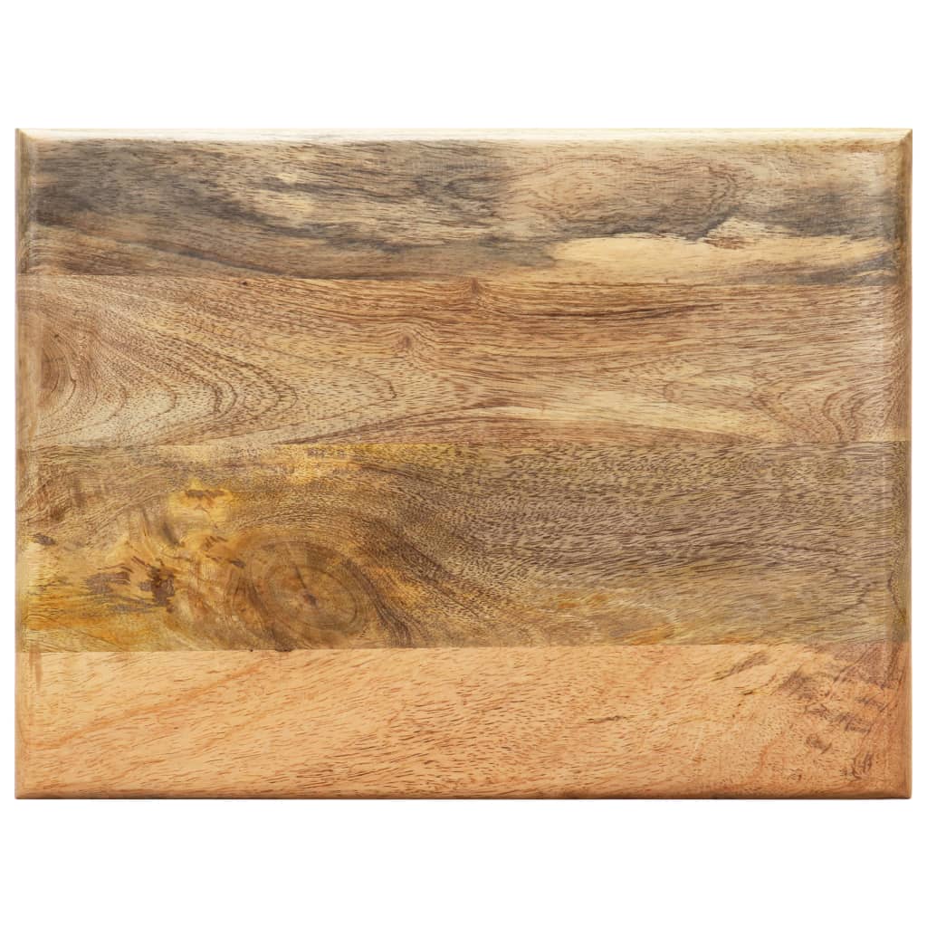 vidaXL Stojak na gazety, 40x30x50 cm, lite drewno mango i stal