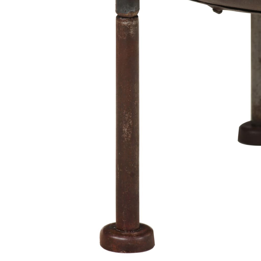 vidaXL Palenisko rustykalne, Ø 40 cm, żelazne