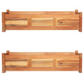 vidaXL Podwyższone donice, 2 szt., drewno akacjowe, 100x30x25 cm