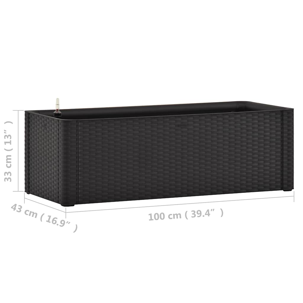 vidaXL Podwyższona donica z systemem podlewania, antracyt, 100x43x33cm