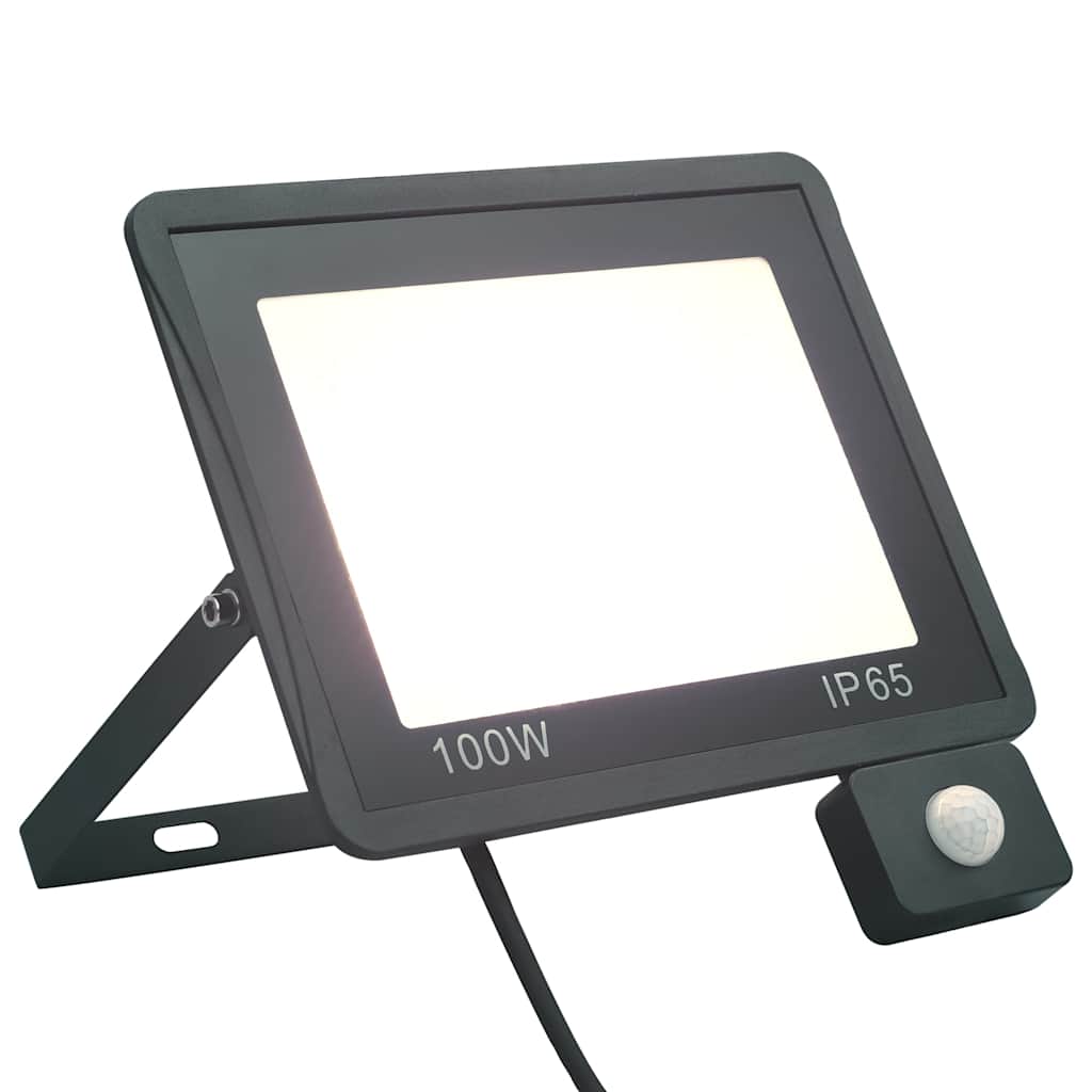 vidaXL Reflektor LED z czujnikiem, 100 W, zimne białe światło