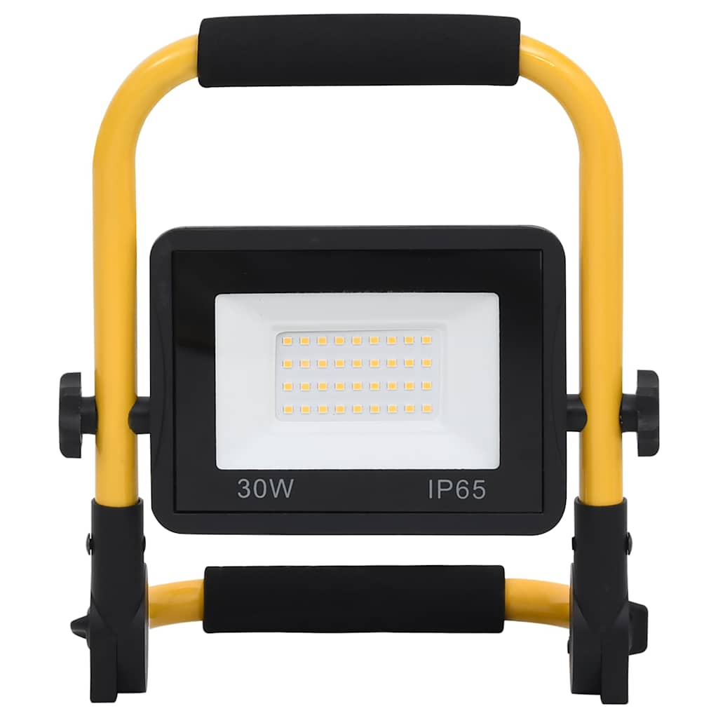 vidaXL Reflektor LED z uchwytem, 30 W, zimne białe światło