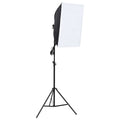 vidaXL Profesjonalna lampa studyjna 60x40 cm