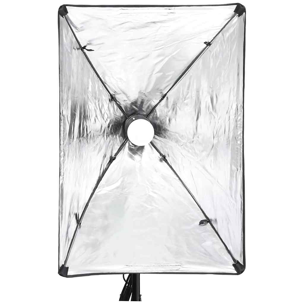 vidaXL Profesjonalna lampa studyjna 60x40 cm