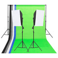 vidaXL Zestaw do studia fotograficznego, tła i softboxy