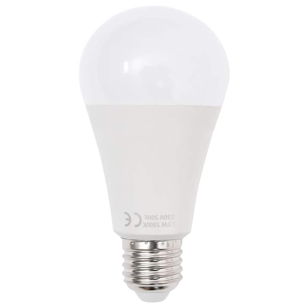 vidaXL Zestaw lamp studyjnych i akcesoriów