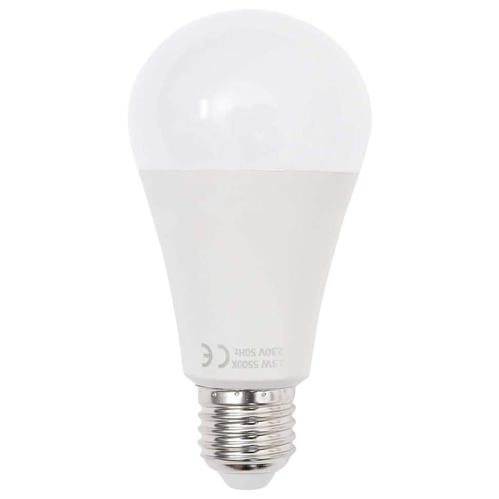 vidaXL Profesjonalne lampy studyjne, 2 szt., 40x60 cm
