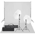 vidaXL Fotograficzny zestaw studyjny z lampami i tłem
