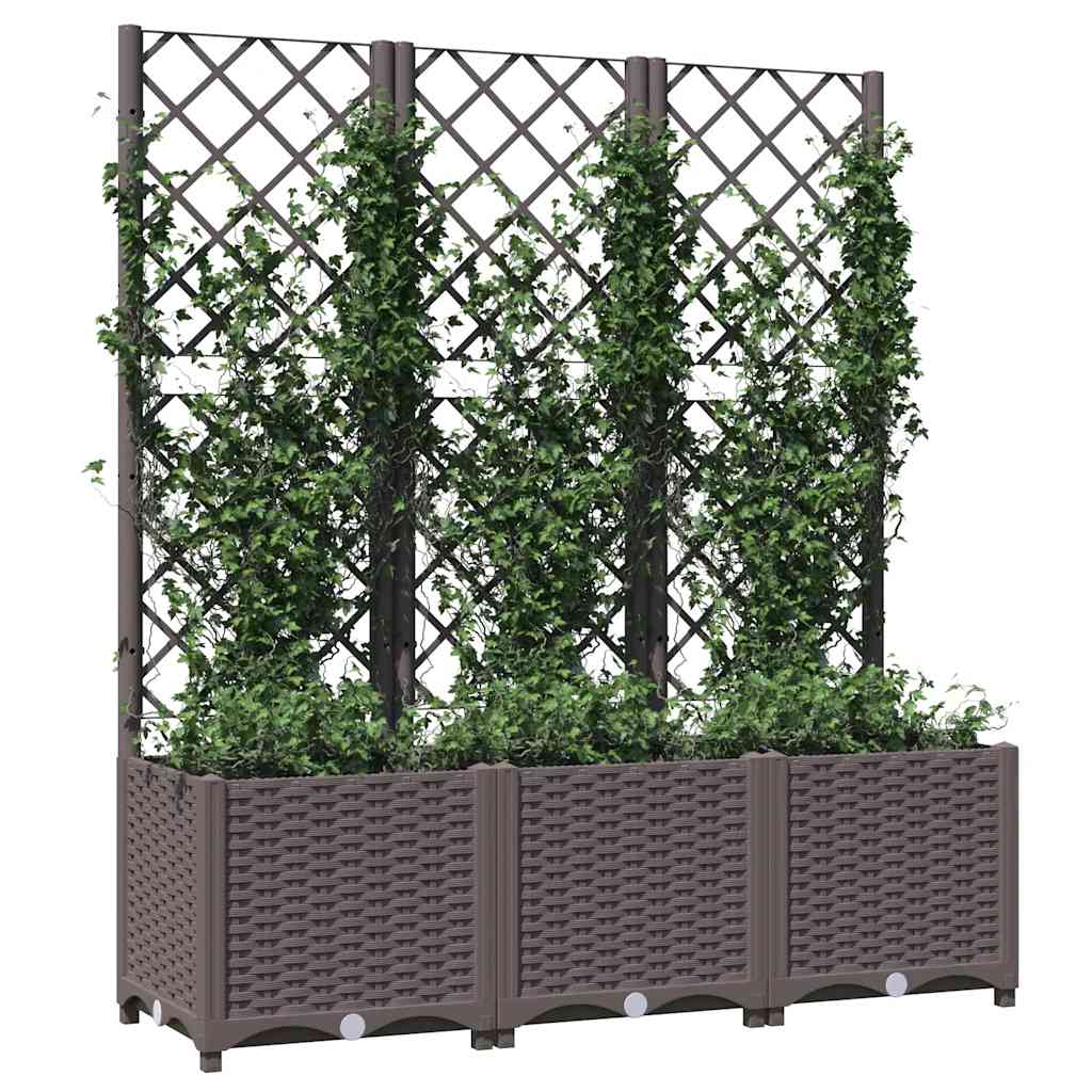 vidaXL Donica ogrodowa z kratką brązowa 120x40x136 cm PP