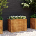 vidaXL Podwyższona grządka ogrodowa 100x50x69 cm, stal Corten