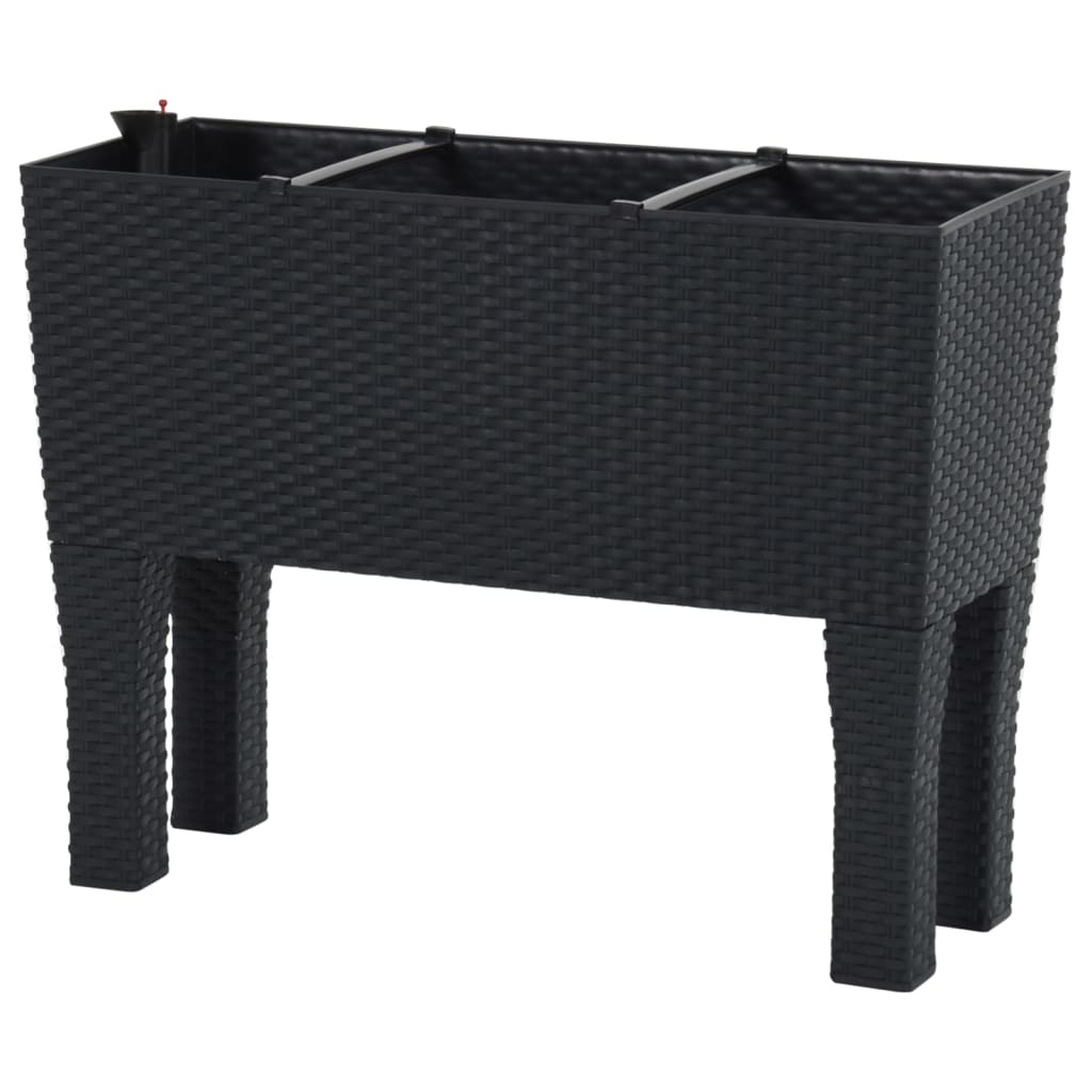 vidaXL Podwyższona donica, antracytowa, 60x25x46 cm, rattan PP