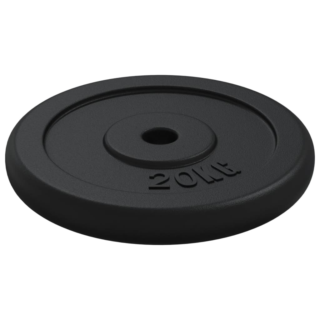 vidaXL Obciążnik 20 kg, żeliwny