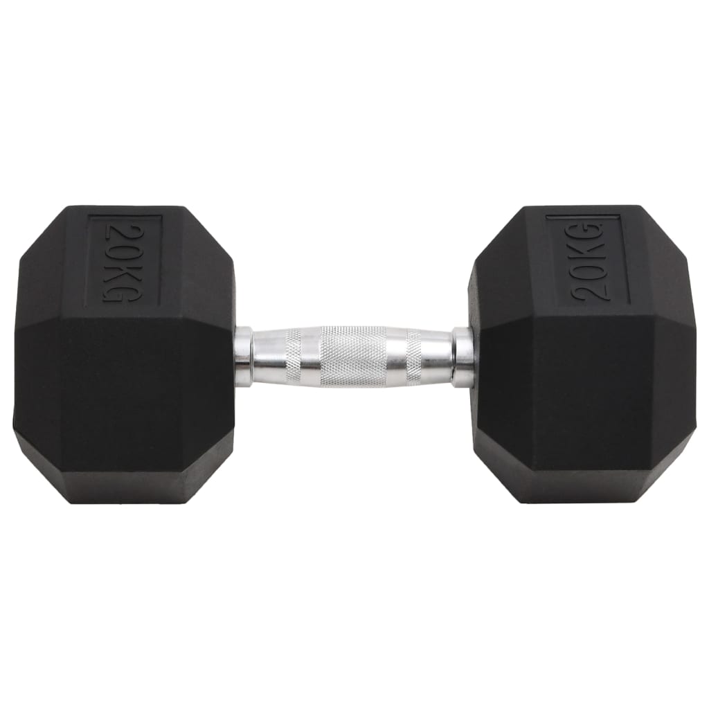 vidaXL Hantel, 20 kg, żeliwo