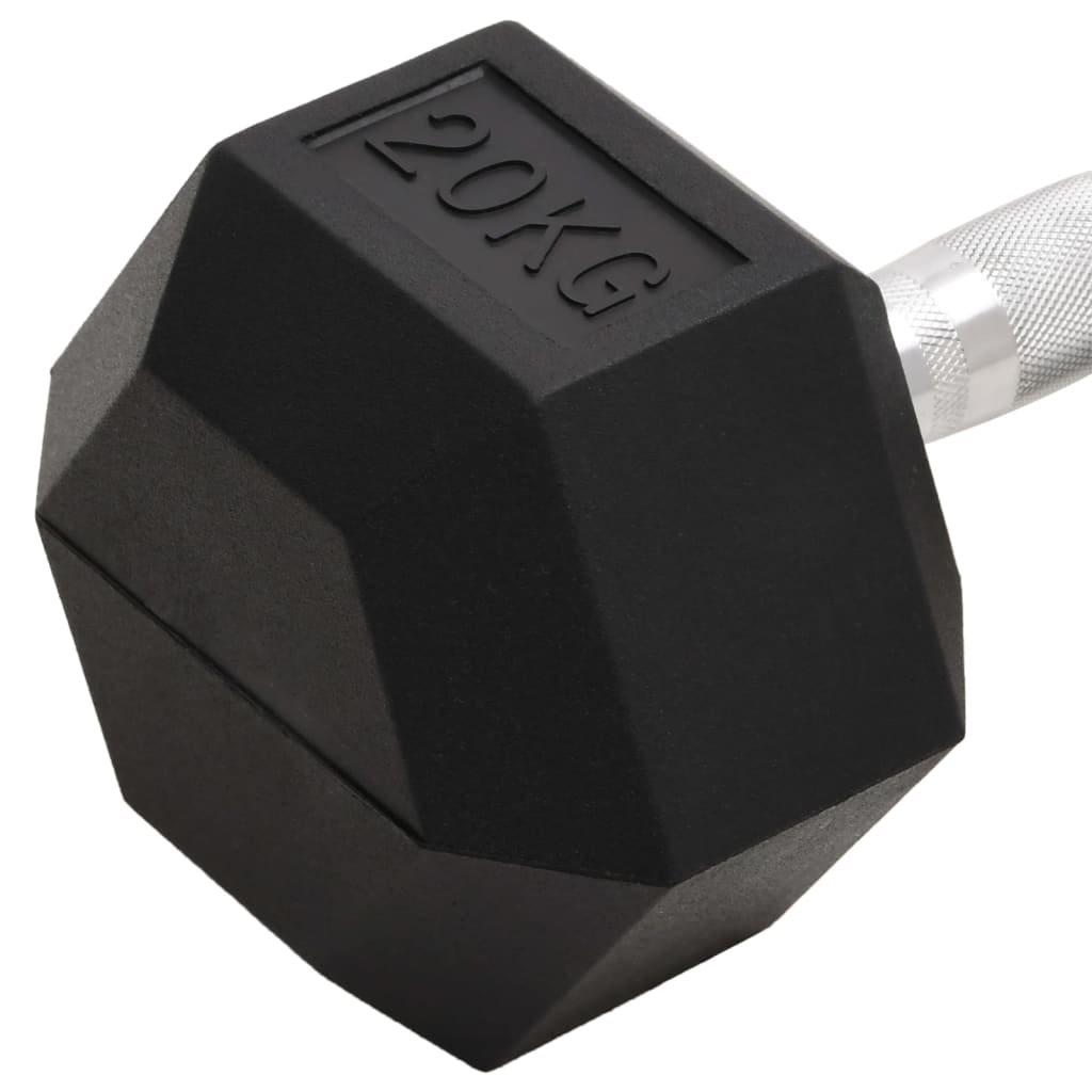 vidaXL Hantel, 20 kg, żeliwo