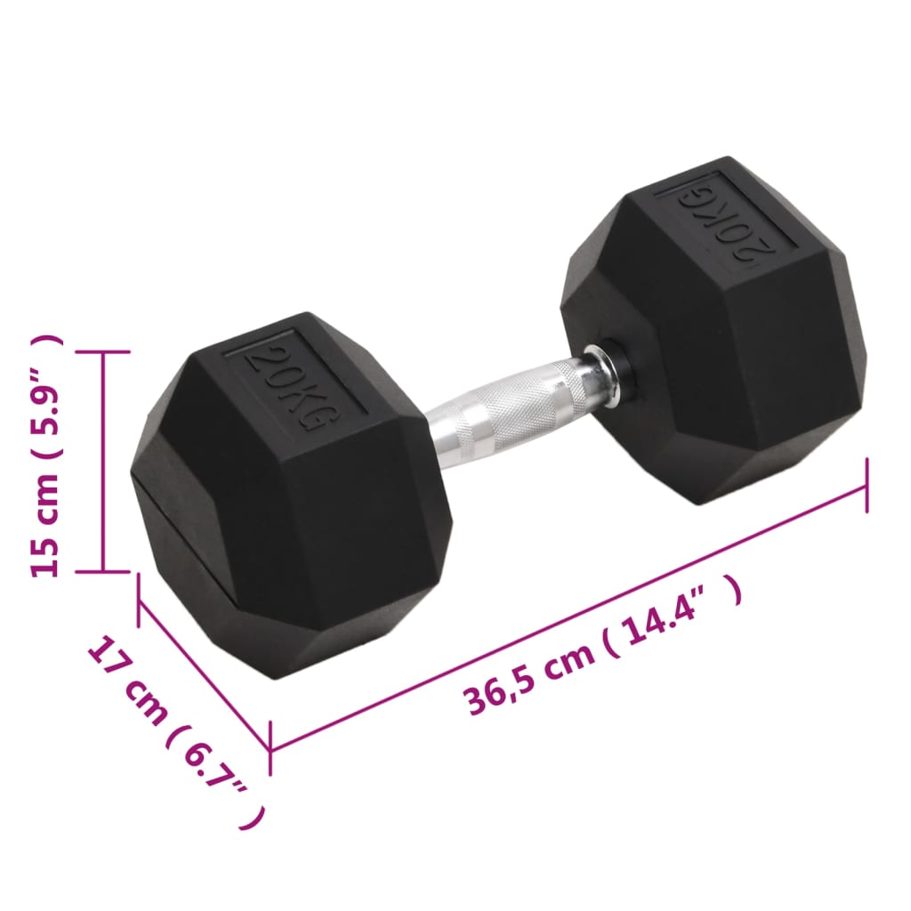 vidaXL Hantel, 20 kg, żeliwo