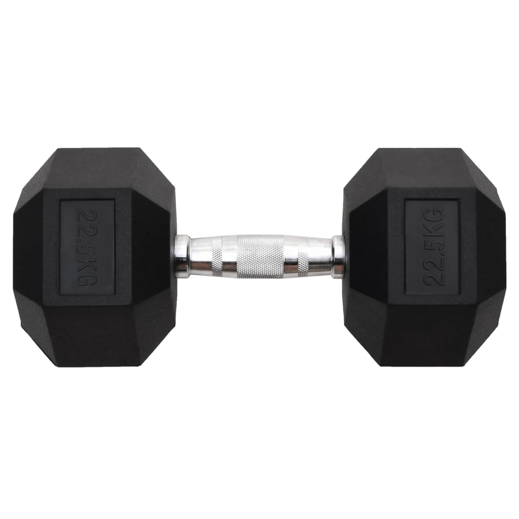 vidaXL Hantel, 22,5 kg, żeliwo