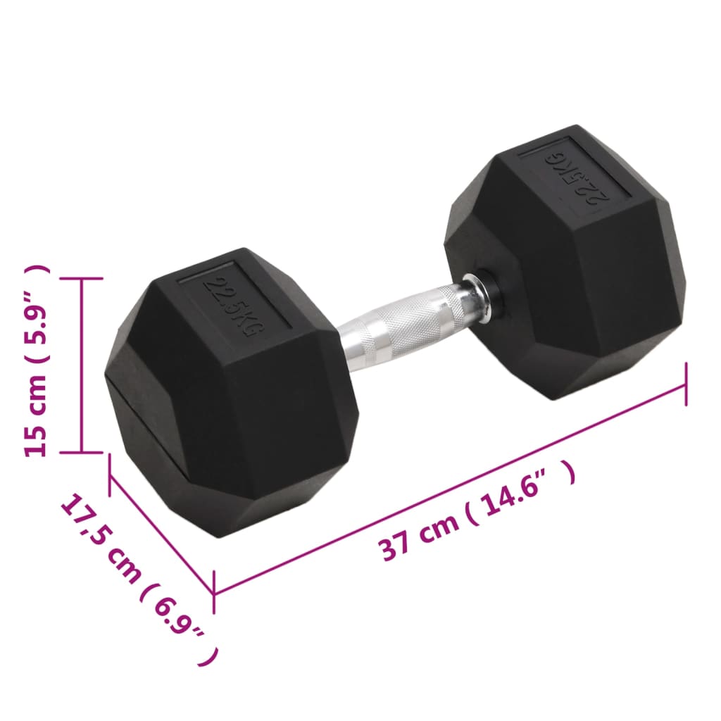 vidaXL Hantel, 22,5 kg, żeliwo