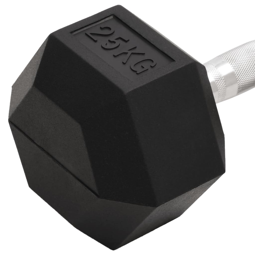 vidaXL Hantel, 25 kg, żeliwo