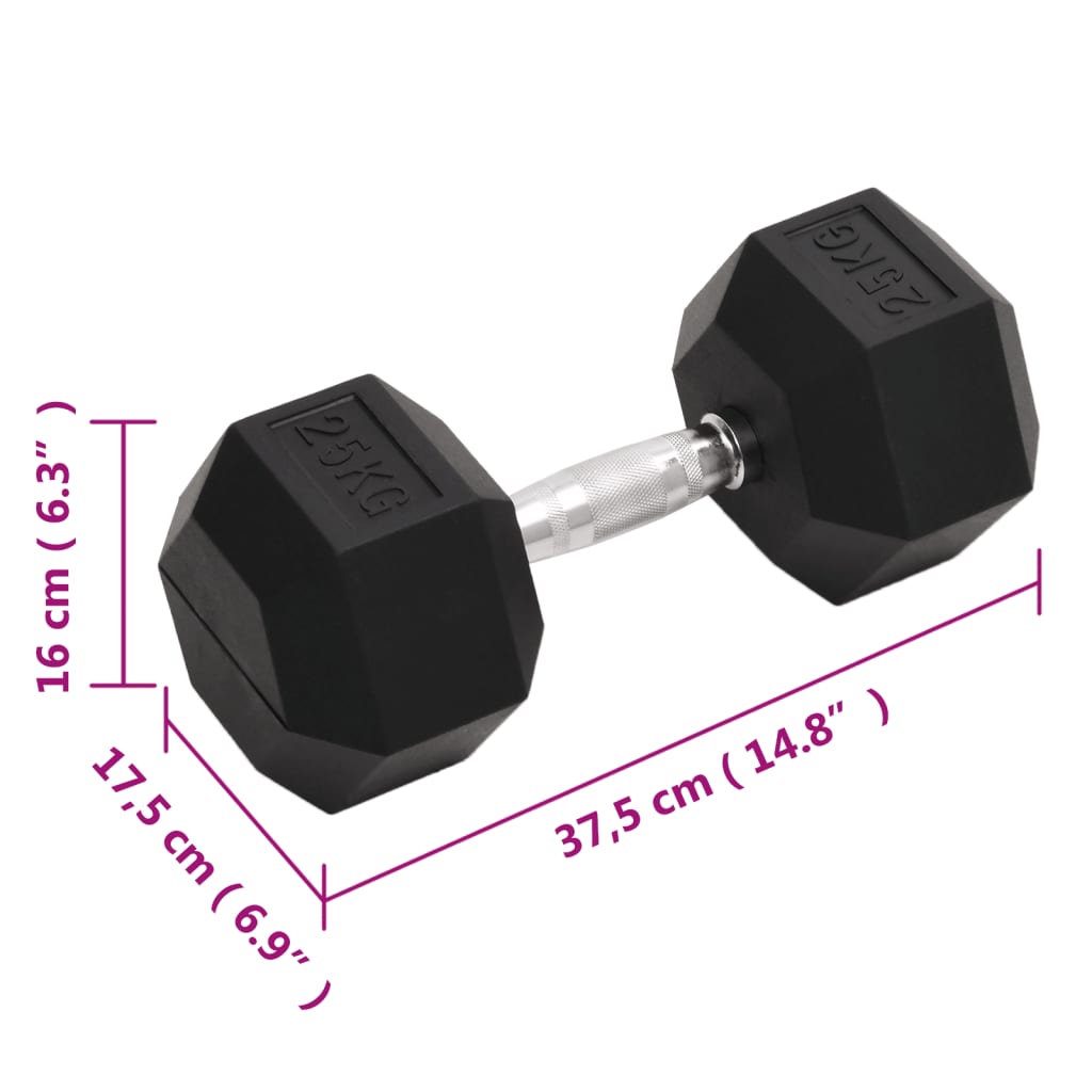 vidaXL Hantel, 25 kg, żeliwo