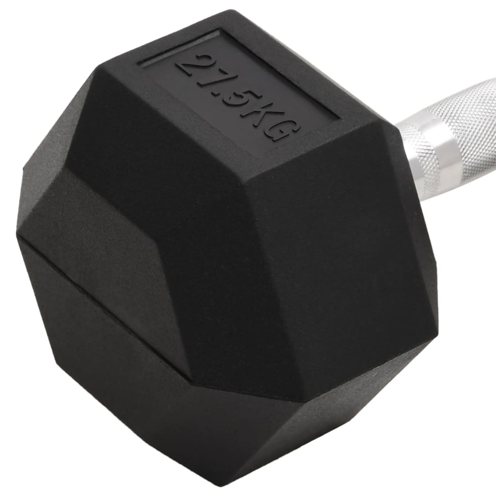 vidaXL Hantel, 27,5 kg, żeliwo